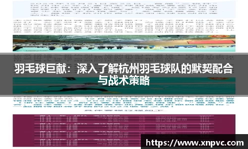羽毛球巨献：深入了解杭州羽毛球队的默契配合与战术策略